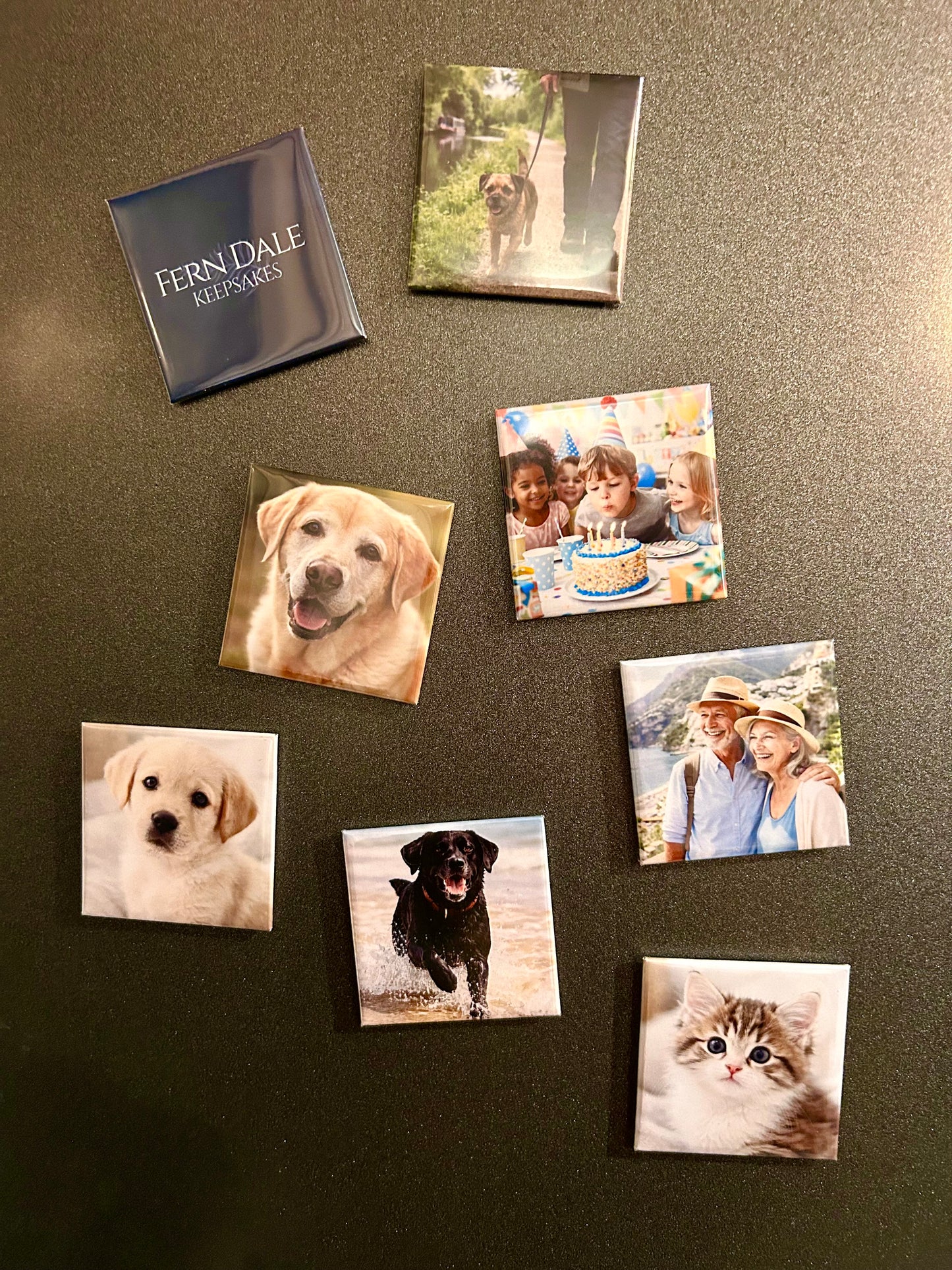 Fern Dale Memories album with photo magnets of dogs, a family, and a cat on a dark surface.